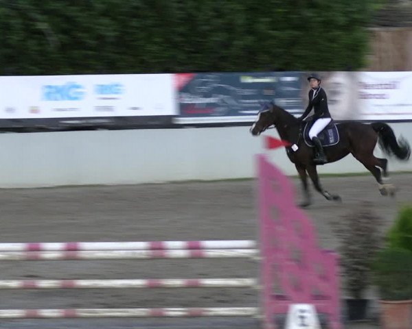 Reitturnier Wachtberg-Adendorf 2022