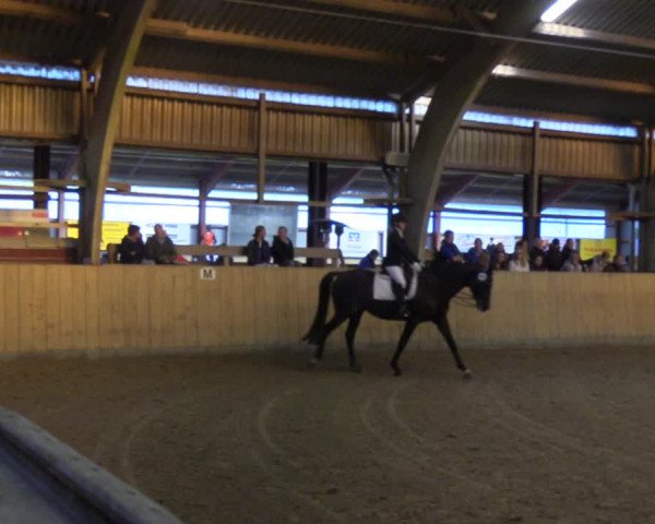 Reitturnier Sörup 2022