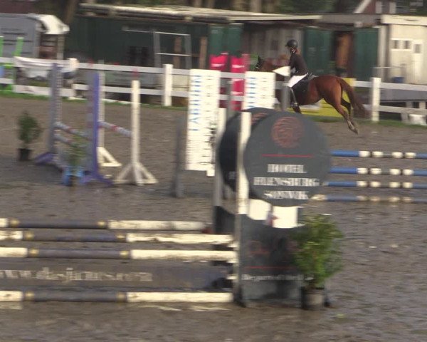 Reitturnier Mildstedt 2022