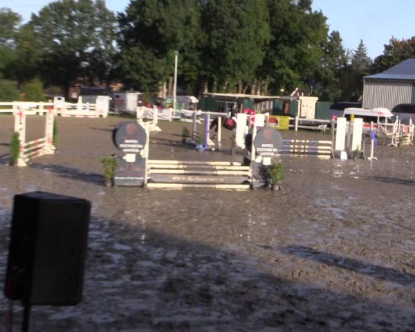 Reitturnier Mildstedt 2022