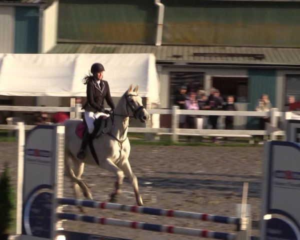 Reitturnier Mildstedt 2022