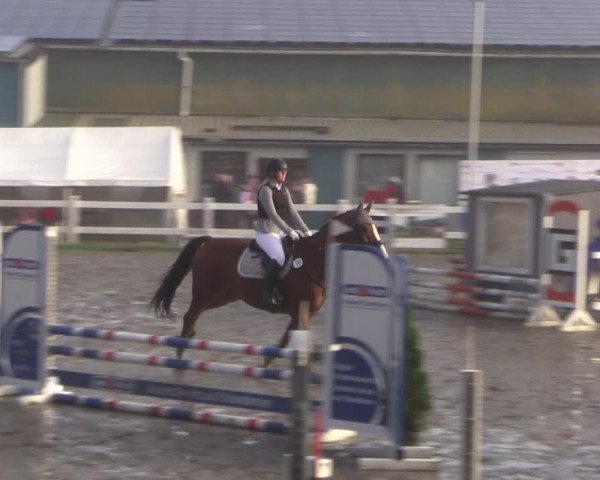 Reitturnier Mildstedt 2022