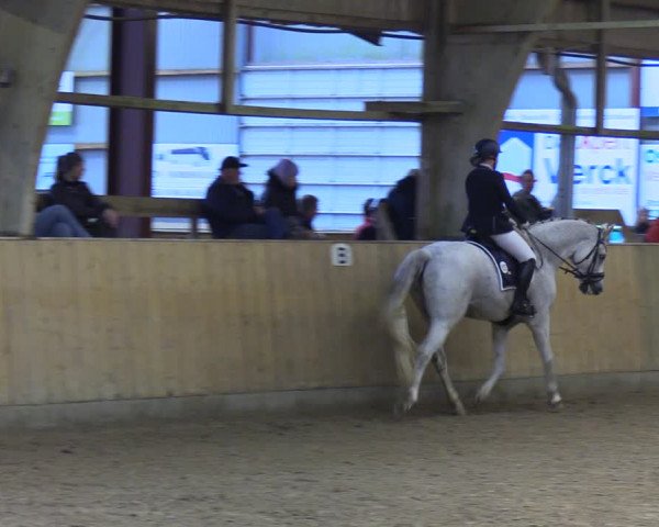 Reitturnier Sörup 2022