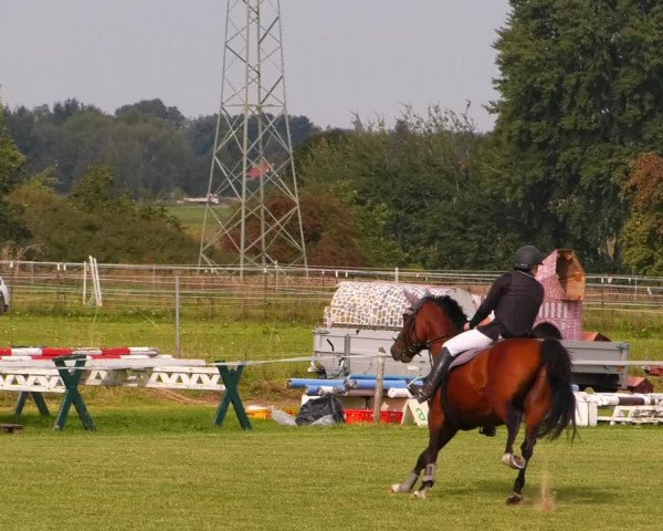 Reitturnier Jüterbog / Werder 2022
