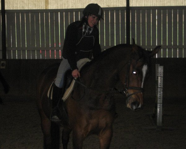 jumper Cala Dream G (Oldenburg, 2003, from Shamrock)