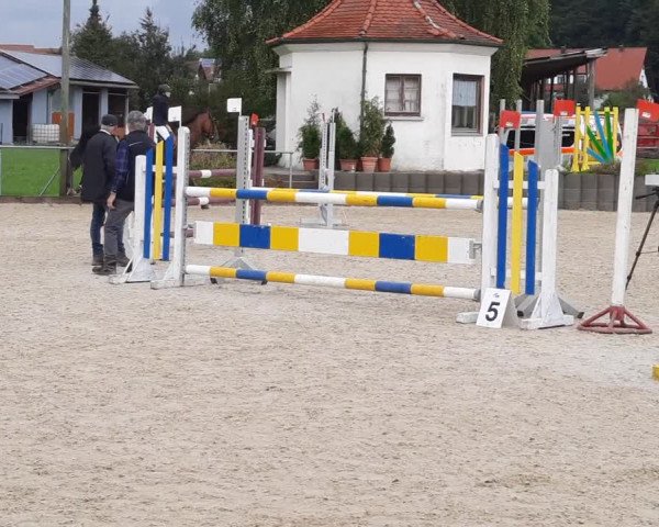Reitturnier Mietingen 2022