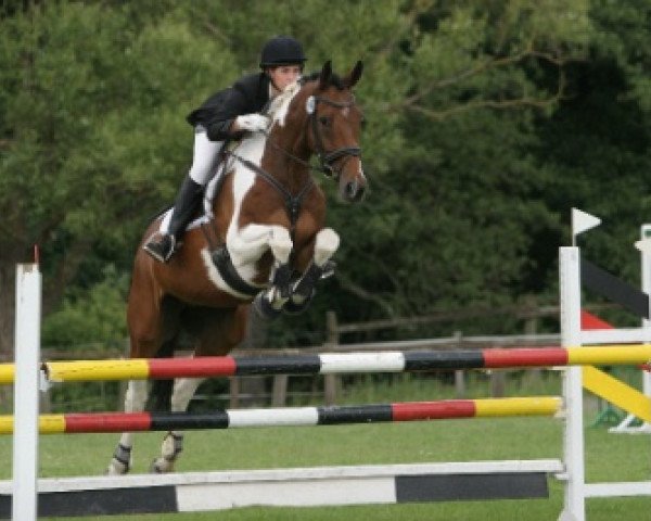 jumper Tullibards Europuzzles (Irish Sport Horse, 2003, from Ekstein)