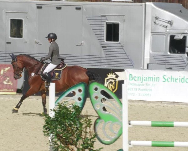 Reitturnier Karlsfeld/Obb. 2022
