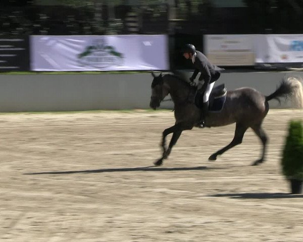 Reitturnier Wachtberg-Adendorf 2022