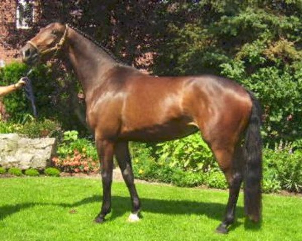 broodmare Gina Weissena MR (Rhinelander, 2005, from Gribaldi)