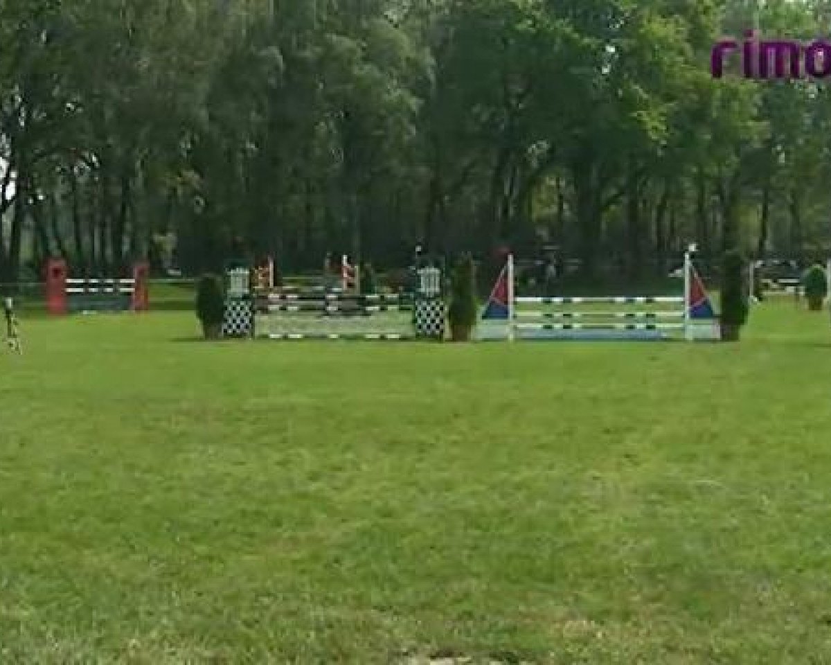 dressage horse Corado (Welsh-Pony (Section B), 1988, from Constantin)