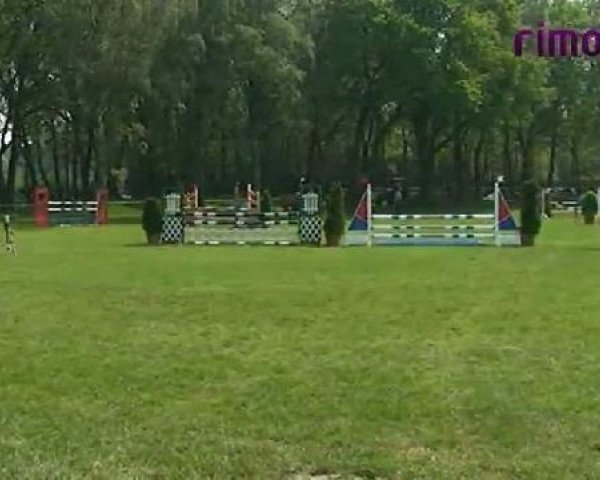 dressage horse Corado (Welsh-Pony (Section B), 1988, from Constantin)
