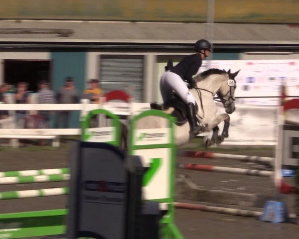 Reitturnier Mildstedt 2022