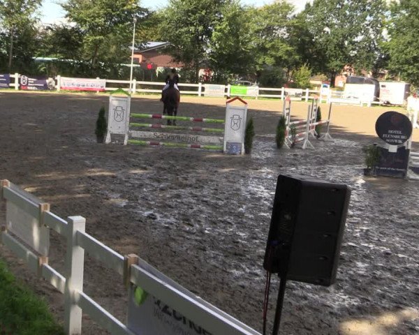 Reitturnier Mildstedt 2022