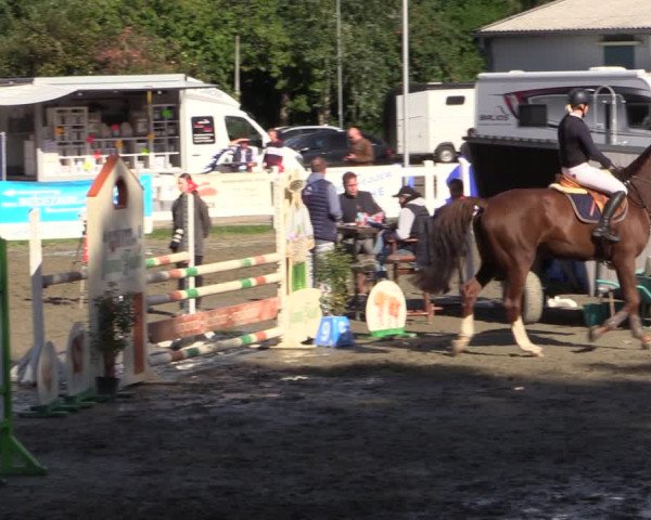 Reitturnier Mildstedt 2022