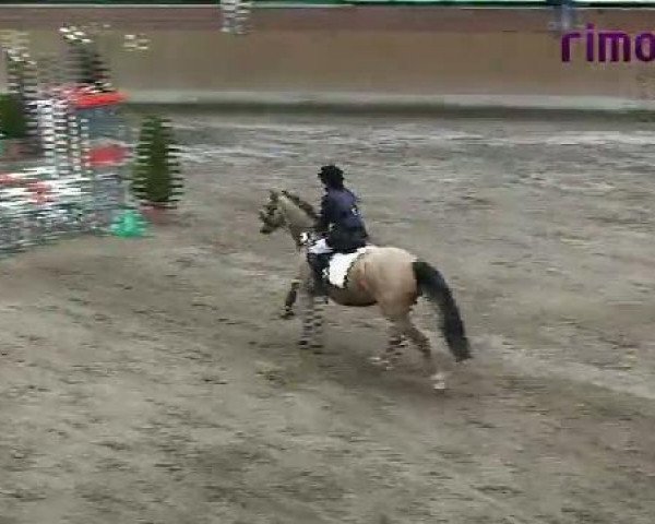 jumper Milk and Honey (Palomino, 1998)