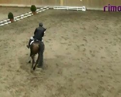 jumper Spirit 90 (unknown, 2001)