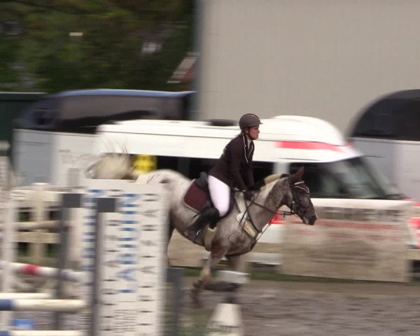 Reitturnier Mildstedt 2022