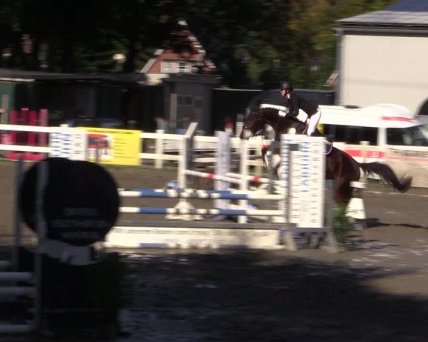 Reitturnier Mildstedt 2022