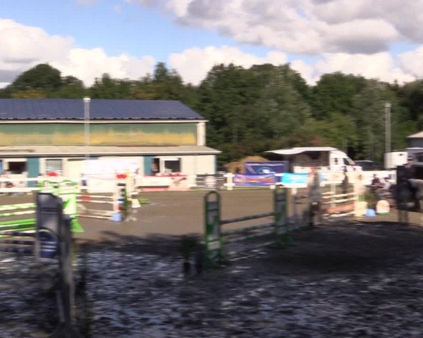 Reitturnier Mildstedt 2022