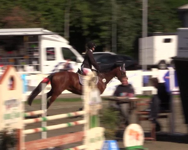 Reitturnier Mildstedt 2022