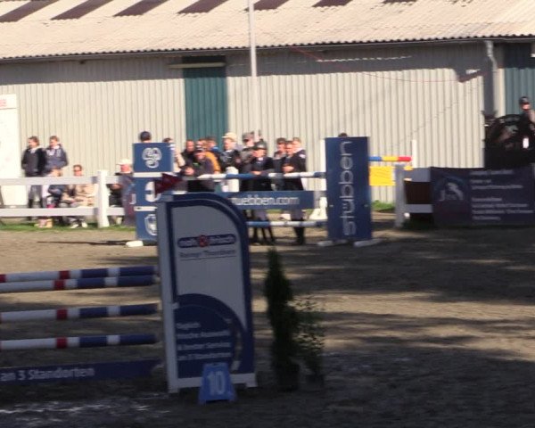 Reitturnier Mildstedt 2022