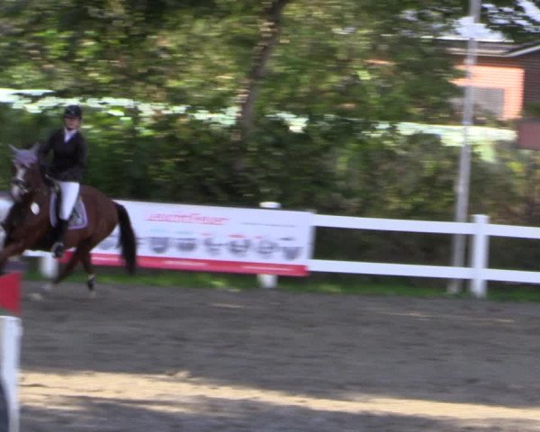 Reitturnier Mildstedt 2022
