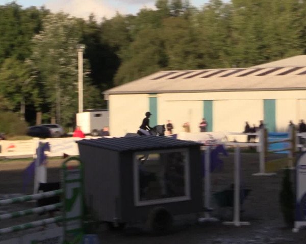 Reitturnier Mildstedt 2022