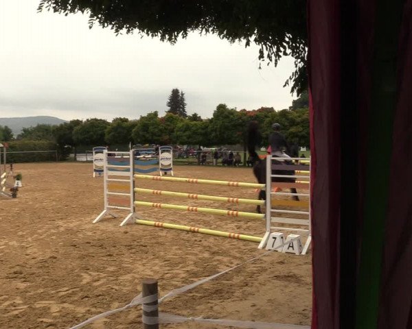Reitturnier Birkungen 2022