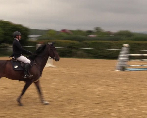 Reitturnier Birkungen 2022