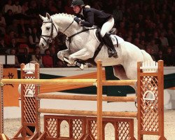Deckhengst Hermes d'Authieux AA (Anglo-Araber, 1995, von Ithuriel x)