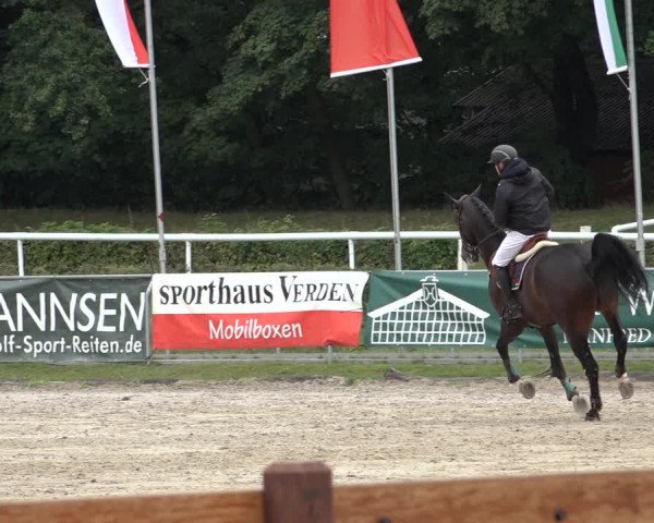 Late Entry Springturnier Verden 2022