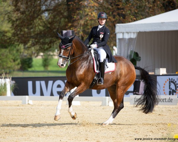 dressage horse Let It Be NRW (Westphalian, 2010, from Lissaro)