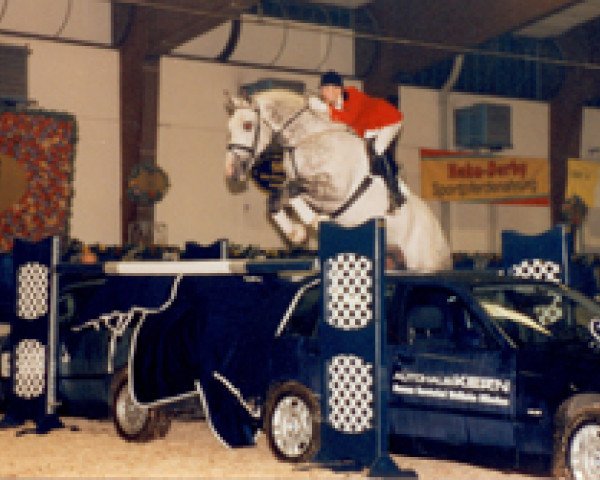 Deckhengst Come Well (Württemberger, 1990, von Come On)