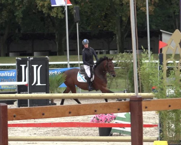 Late Entry Springturnier Verden 2022