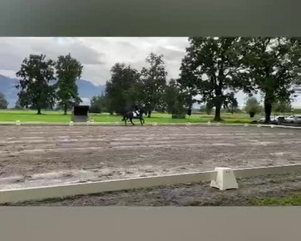 Video of Coco de Luxe