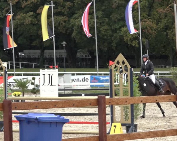 Late Entry Springturnier Verden 2022