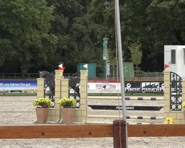 Late Entry Springturnier Verden 2022