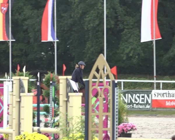 Late Entry Springturnier Verden 2022