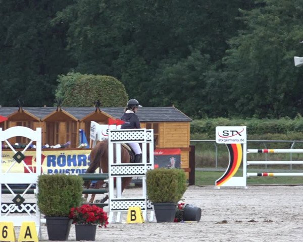 Late Entry Springturnier Verden 2022