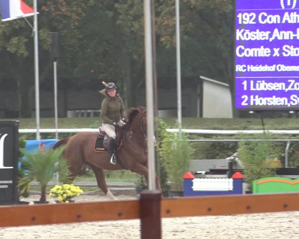 Late Entry Springturnier Verden 2022
