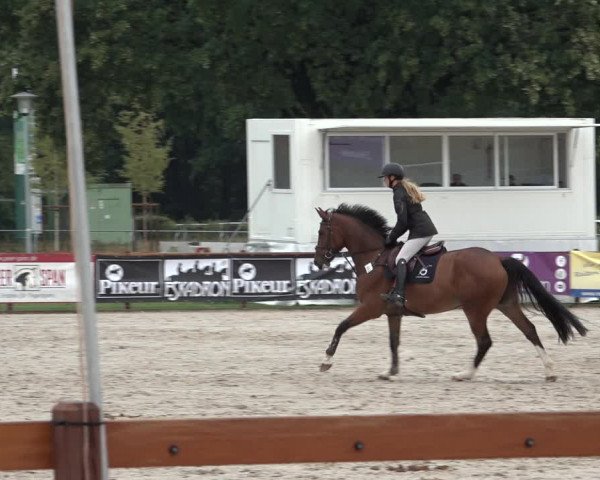 Late Entry Springturnier Verden 2022