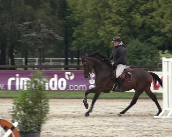 Late Entry Springturnier Verden 2022