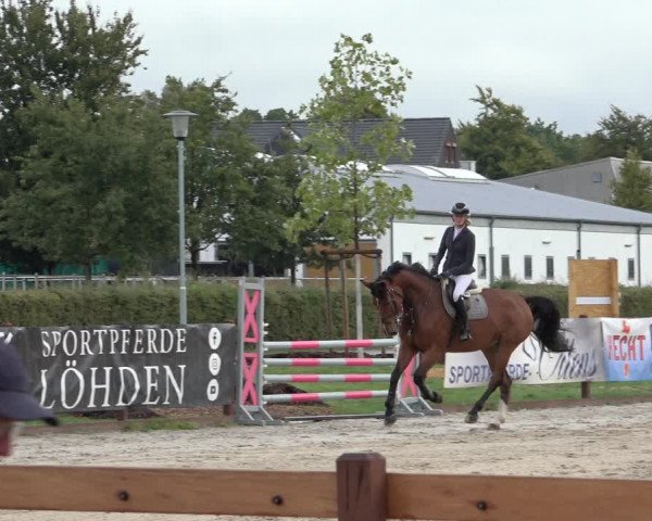 Late Entry Springturnier Verden 2022