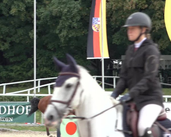 Late Entry Springturnier Verden 2022