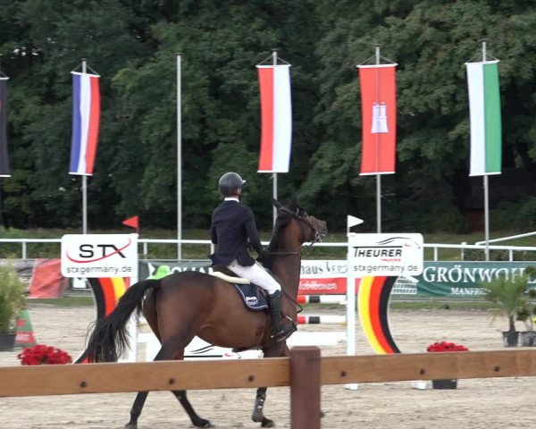 Late Entry Springturnier Verden 2022