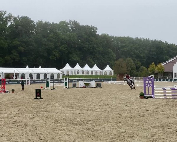Reitturnier Albführen 2022