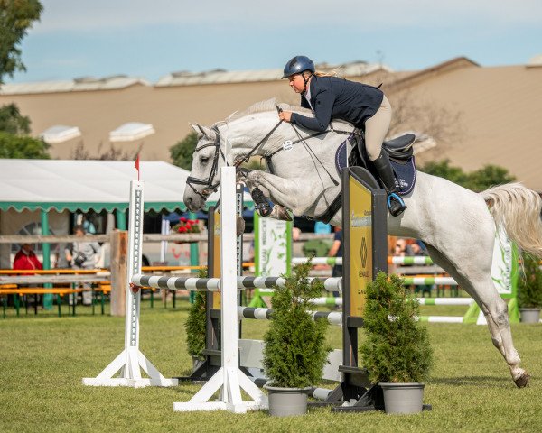 jumper Cellarista Vista (German Sport Horse, 2016, from Cellestial)