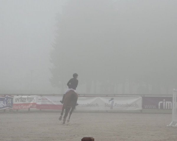 Late Entry Springturnier Verden 2022