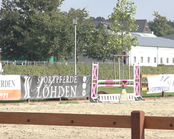 Late Entry Springturnier Verden 2022